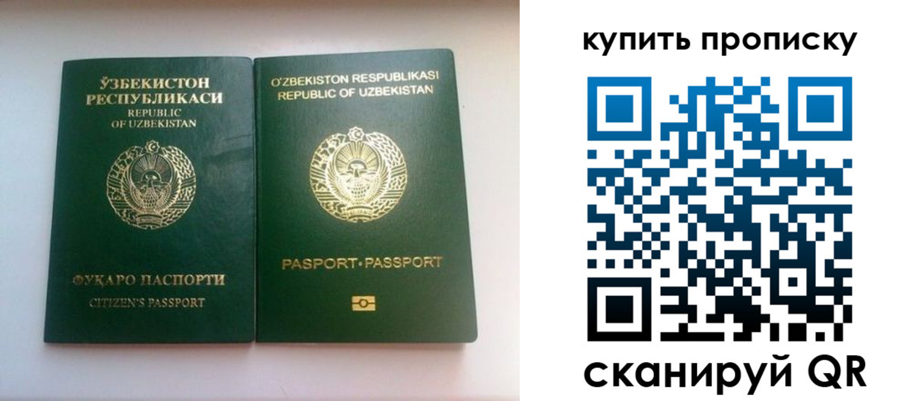 временная прописка в Сертолово